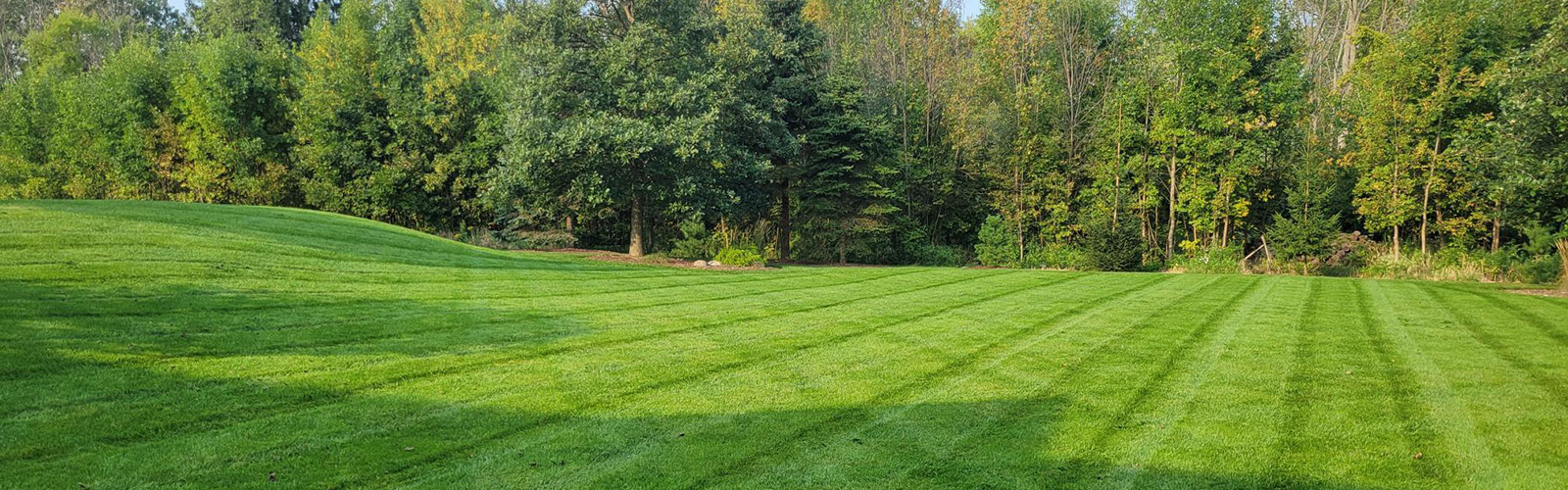 Comprehensive Lawn Care Services