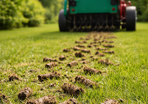 Lawn Core Aeration